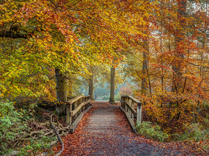 Tranquil Transition