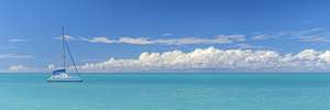 Seaside Dreams