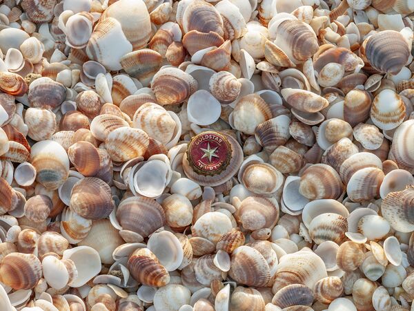 Full frame of seashells on the beach by Assaf Frank