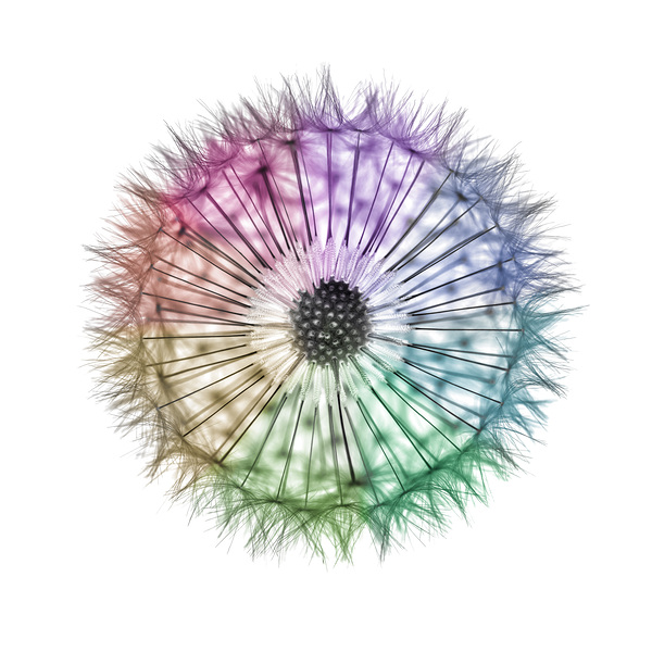 Whimsical Kaleidoscope Print