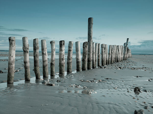 Groynes on beach Print