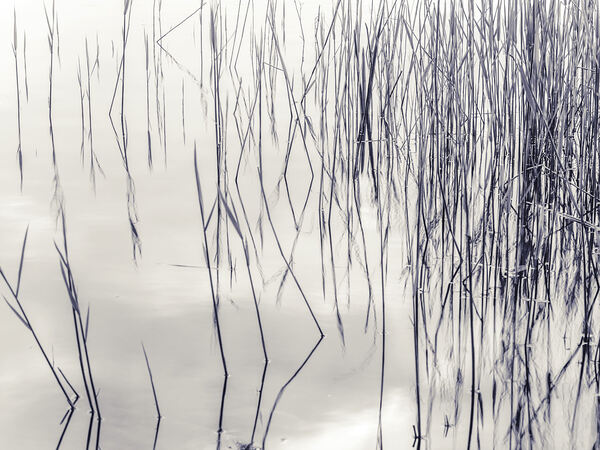 Lake Reflections Print