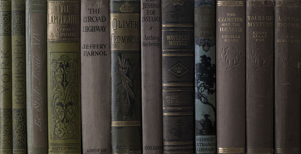 Old books on a shelf Print