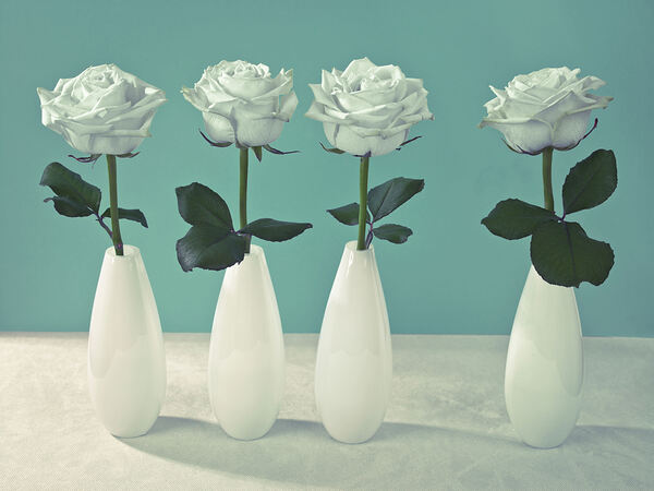 Floral Quartet Print