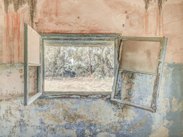 Window, looking out of a derelict building by Assaf Frank