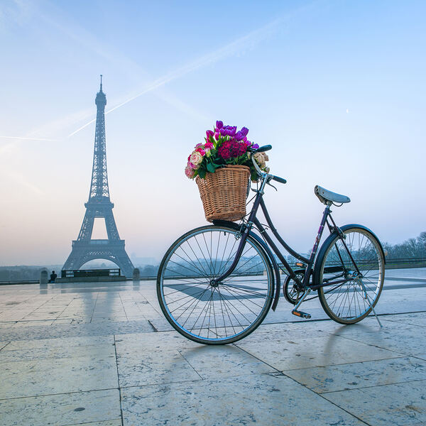 Paris Love Ride Print