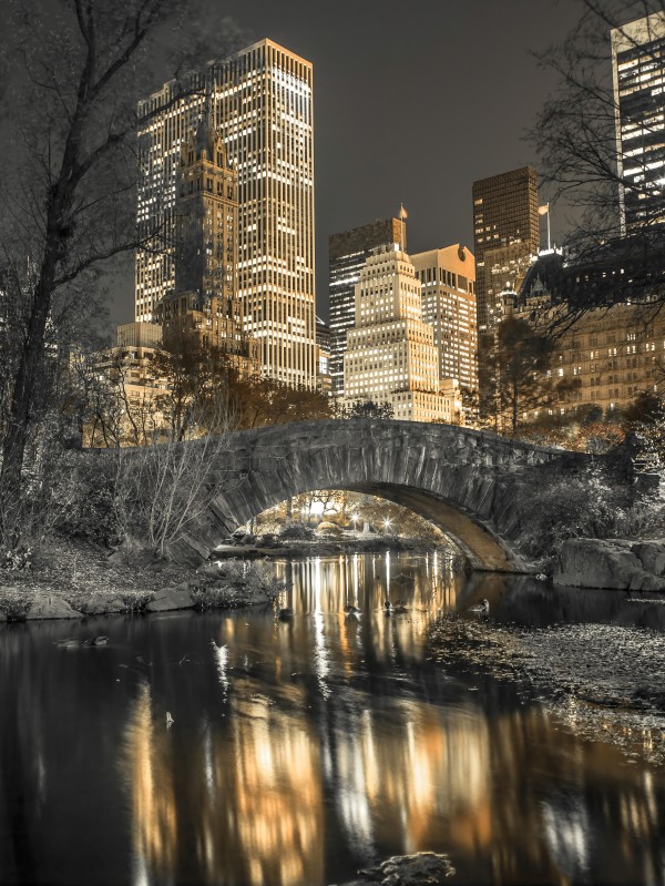 Evening view of Central Park in New York City Print
