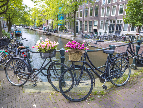 Exploring the Amsterdam Canals  Print