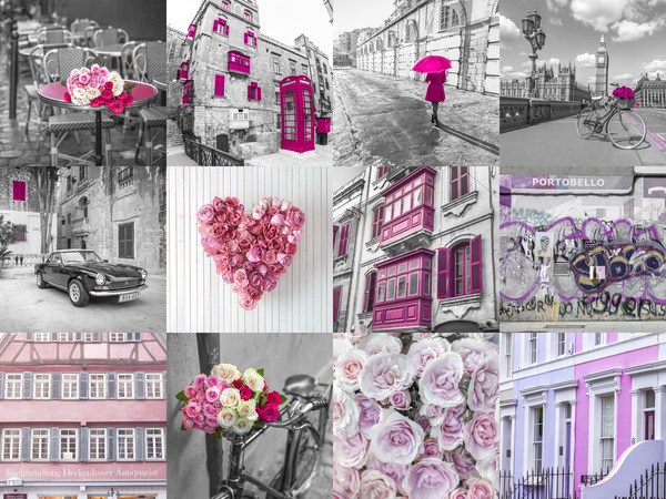 Exploring Pink Hues Print