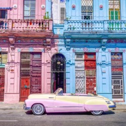 Vintage car on street of Havana, Cuba Print