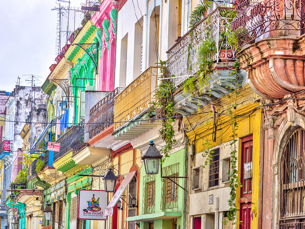 Colorful houses in Havana city, Cuba  Print
