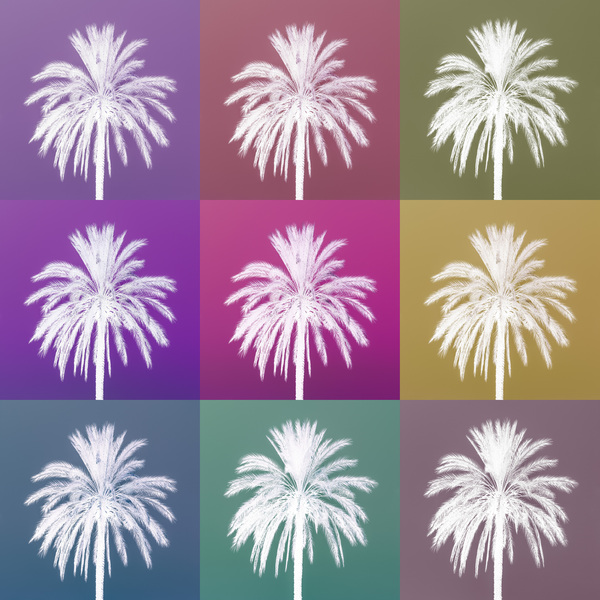 Colourful Palms Print