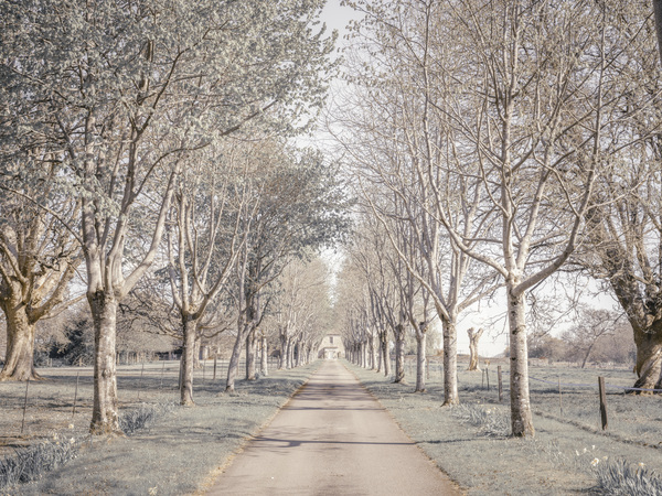 Natures Invitation Print