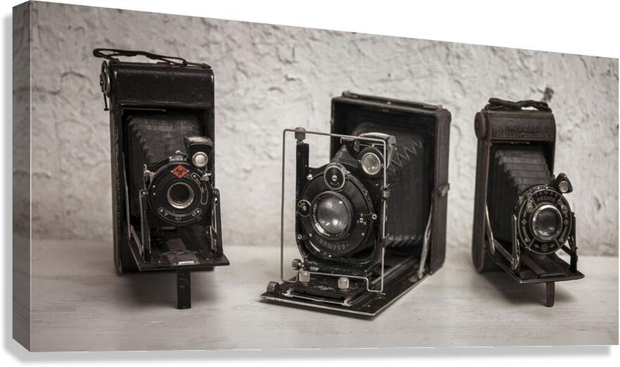 Old cameras Canvas Print