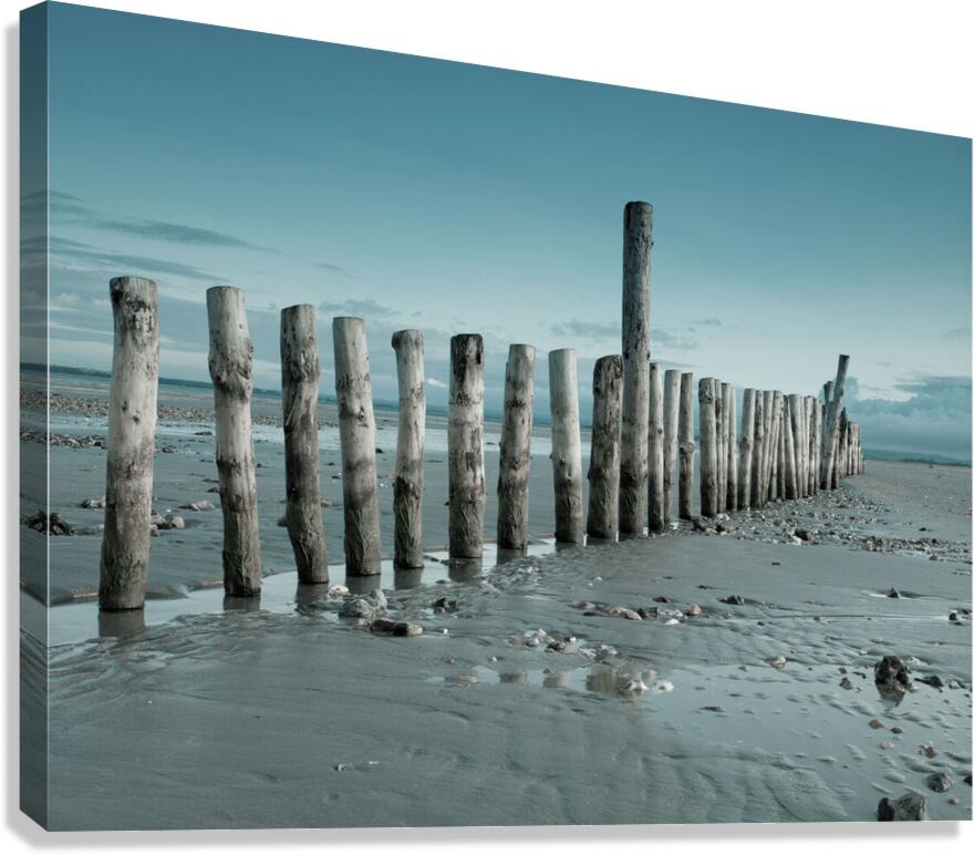 Groynes on beach Canvas Print