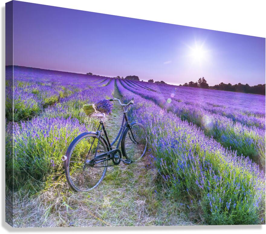 Perception Canvas Print