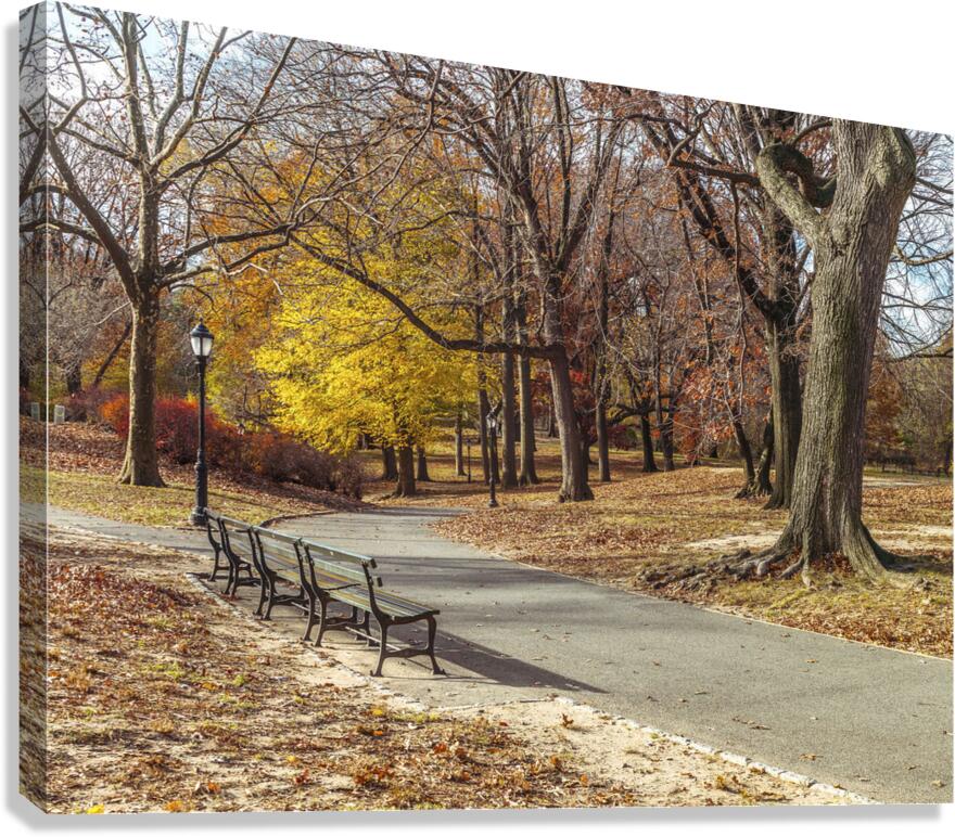 Central Park  Canvas Print