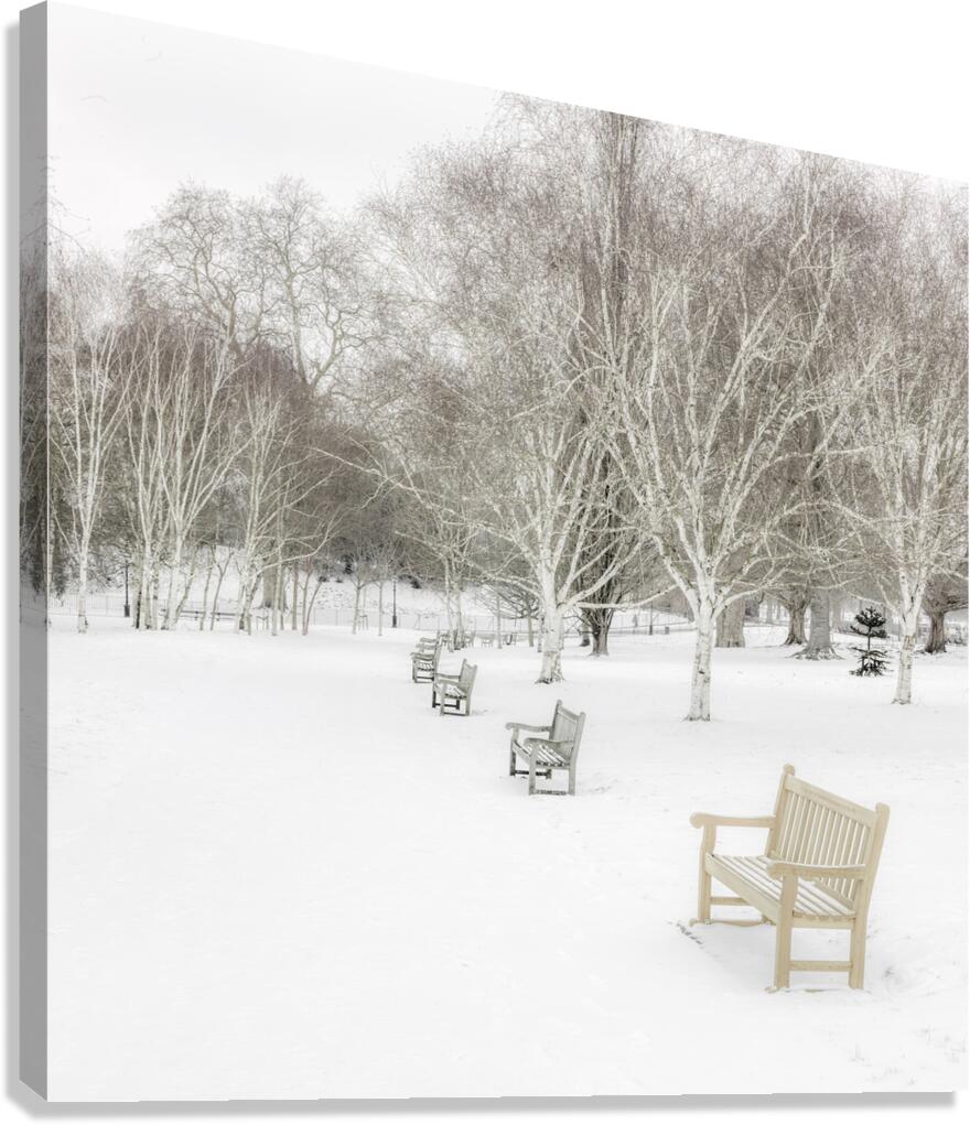 White Winter Canvas Print