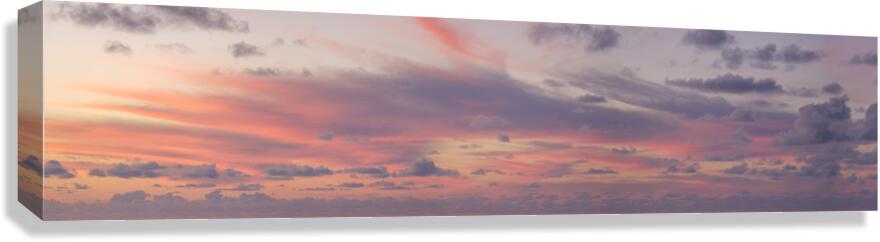 Golden Hour Magic Canvas Print