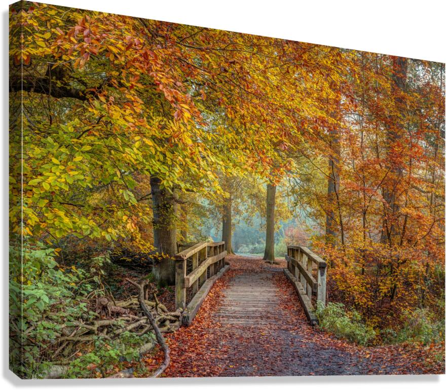 Tranquil Transition Canvas Print