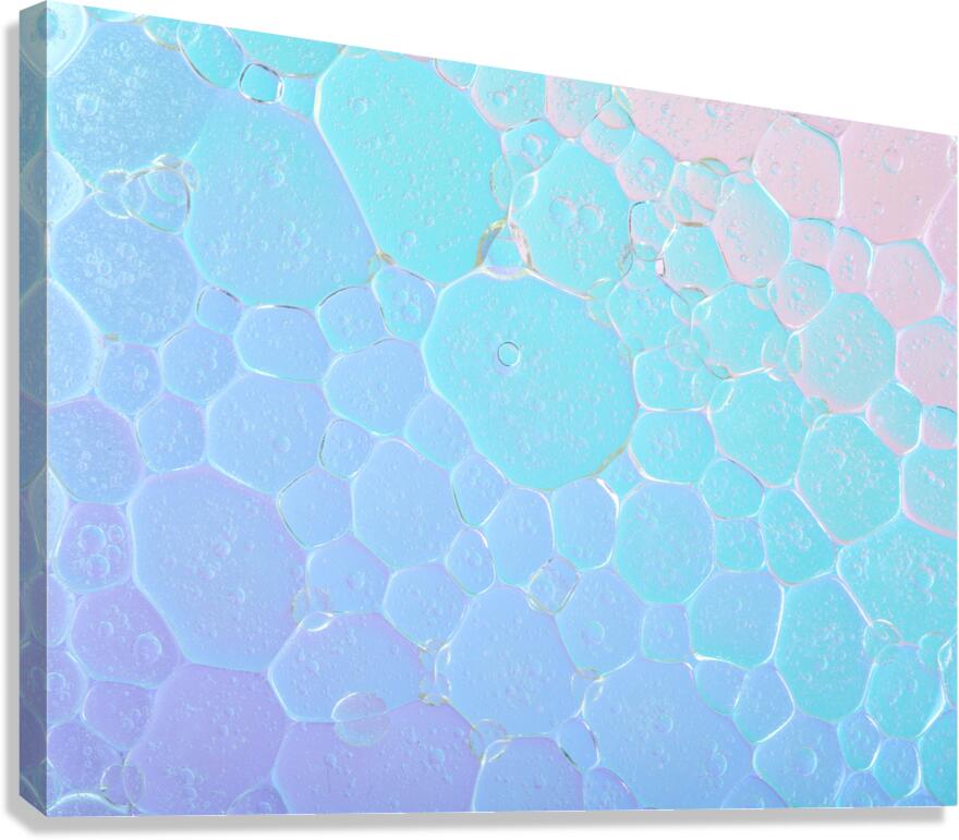 Bubble Ballet Canvas Print