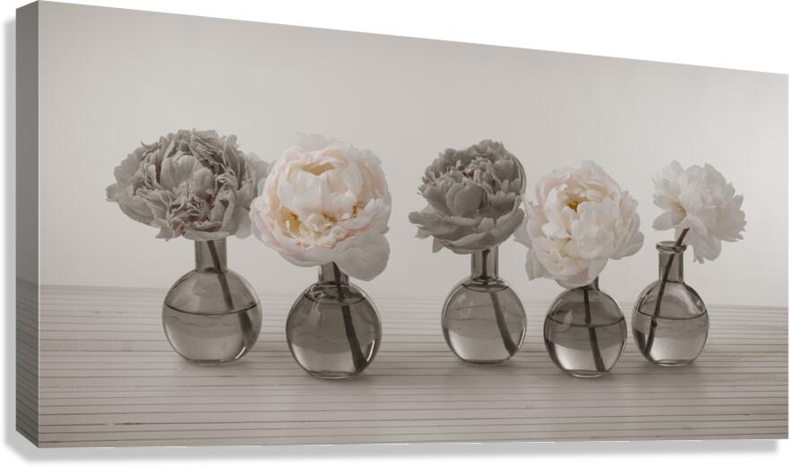 Glassy Grace Canvas Print