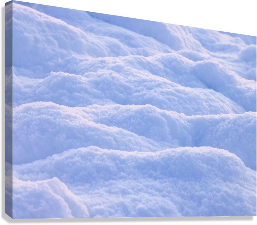 Snow Close up Canvas Print
