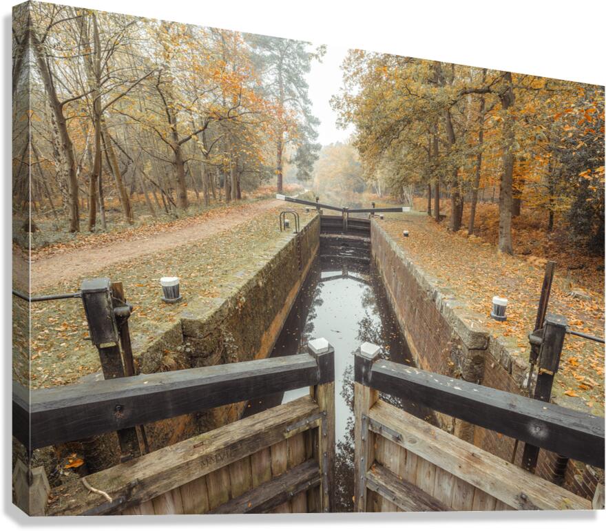 Forest Lock Canvas Print