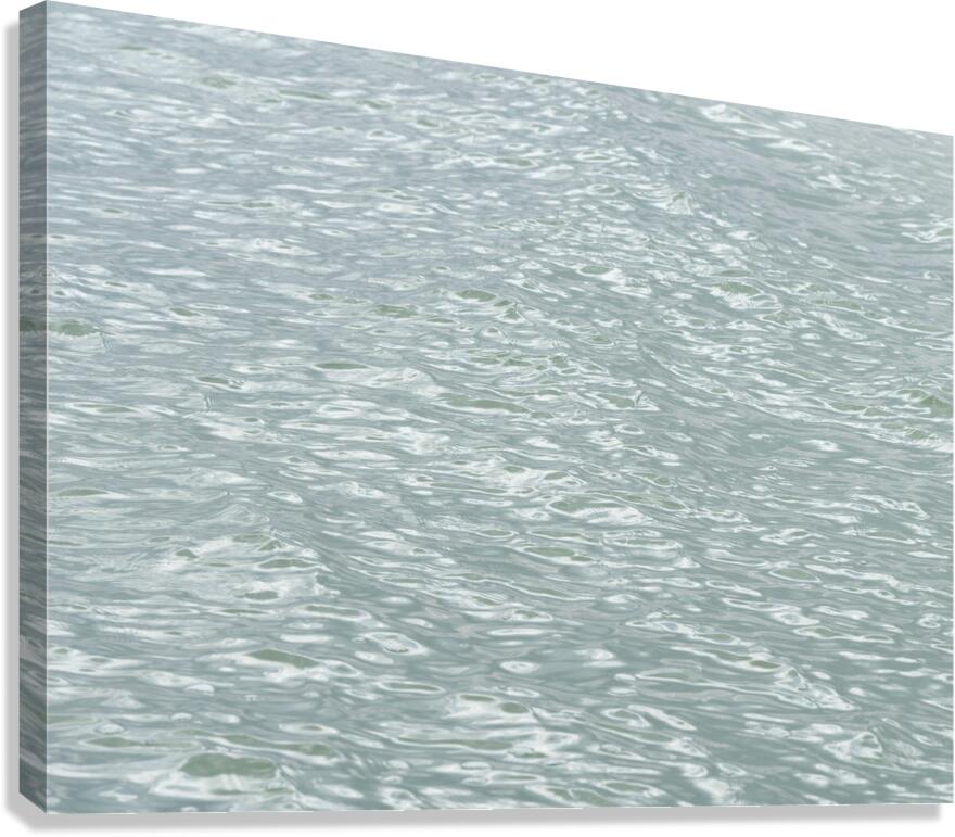 Water Surface Canvas Print
