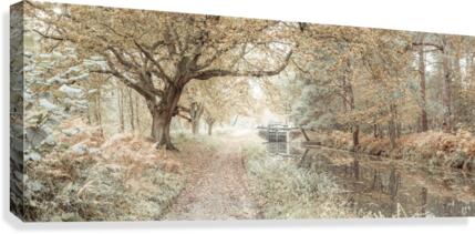 Canal through a forest Canvas Print