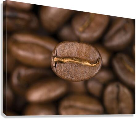 Coffee beans Canvas Print