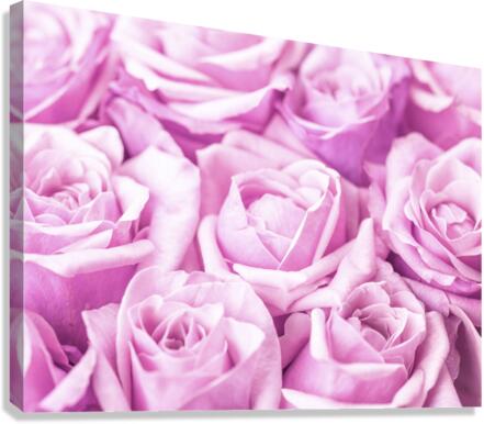 Rose Bunch Canvas Print