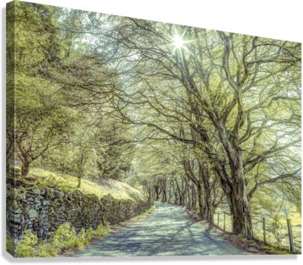 Road Through Trees Canvas Print