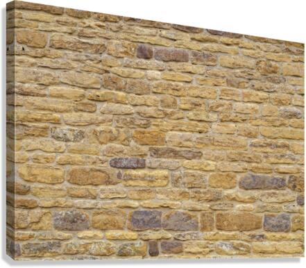 Brick Wall Canvas Print