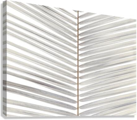 Palm Leaf Canvas Print