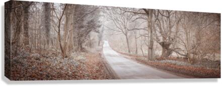 Road through forest Canvas Print