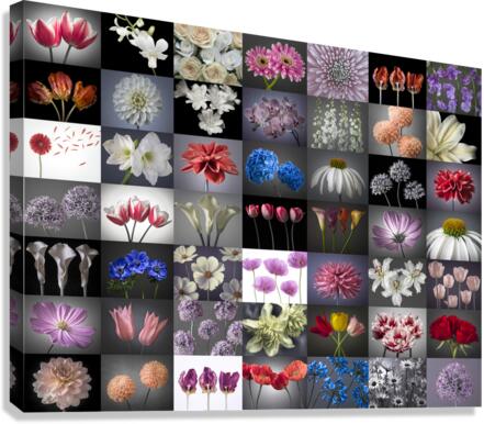 Flowers Collage Canvas Print