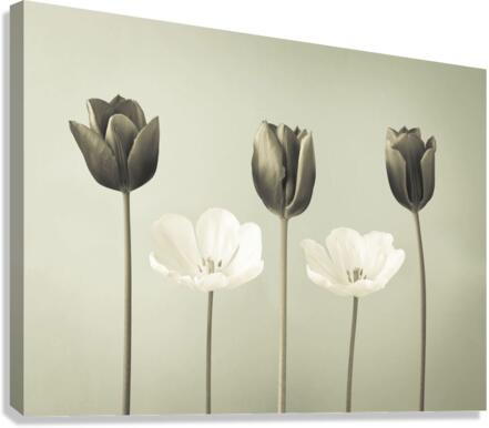 Monochromatic Harmony Canvas Print