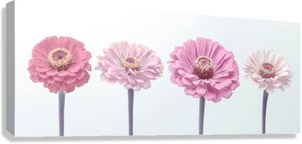 Vibrant Harmony Canvas Print