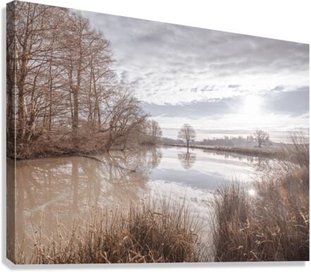 Pond reflection Canvas Print