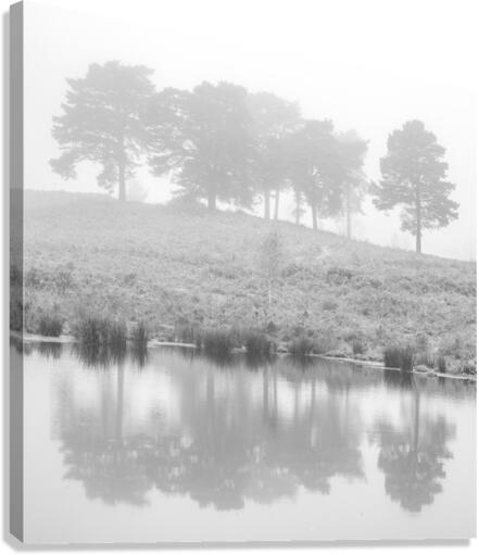 Mystical Reflections Canvas Print