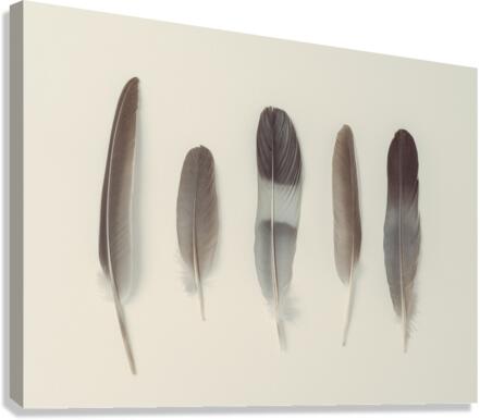 Subtle Harmony Canvas Print