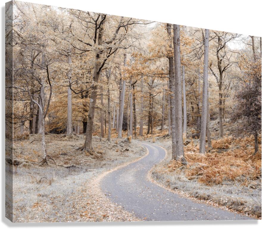 Make Your Own Path Canvas Print