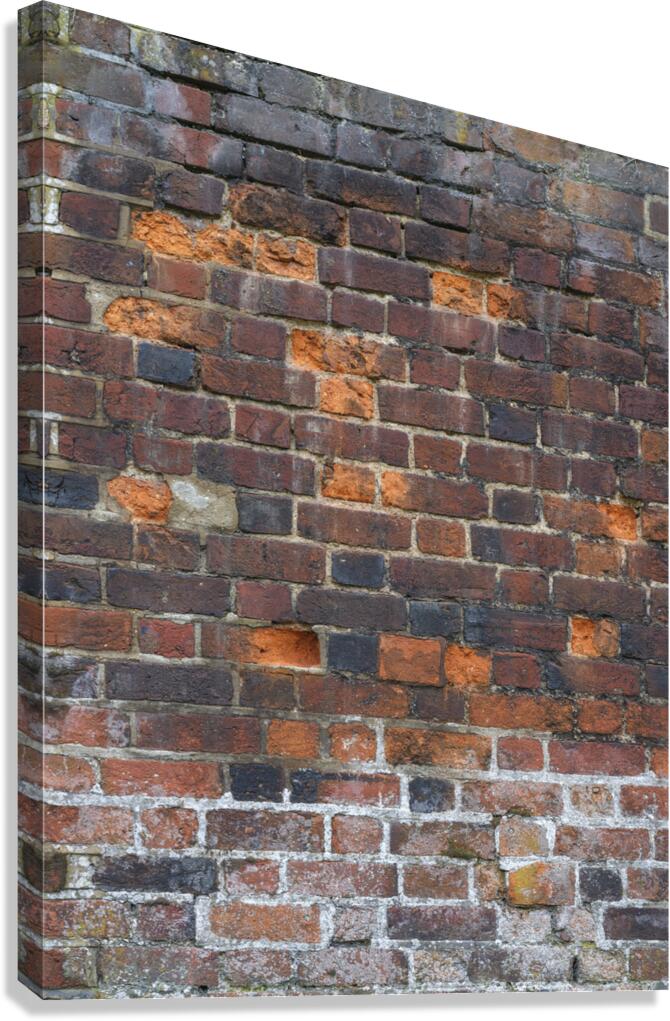 Old brick wall Canvas Print