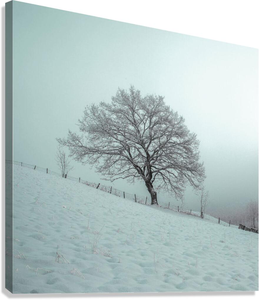 Winter Solitude Canvas Print
