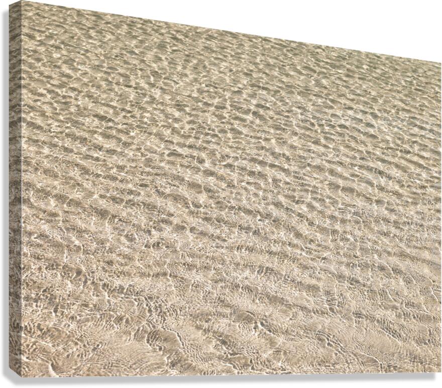 Shallow Waters Canvas Print