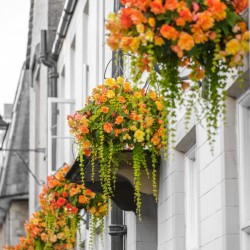 Old buildings in Tetbury