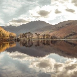Still Lake, Buttermere, Lake District