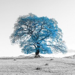 Tree on a hill, blue