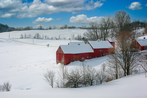 Winter on the Farm